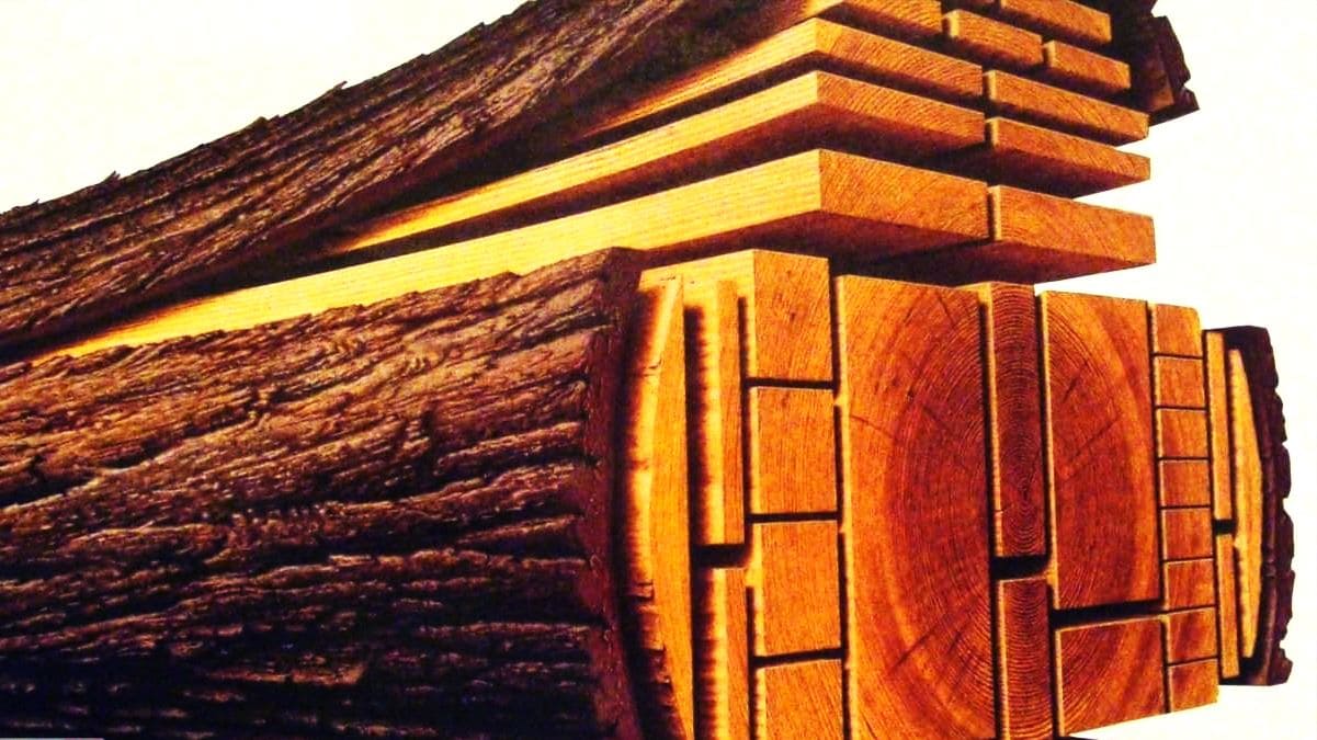 دليلك للتعرف على أفضل أنواع الأخشاب الطبيعية والصناعية