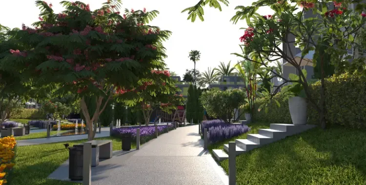 Zayard Elite Sheikh Zayed Compound