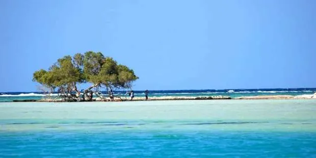 أين تقع مرسي علم على الخريطة | جنة البحر الأحمر أجمل شواطئ مرسى علم