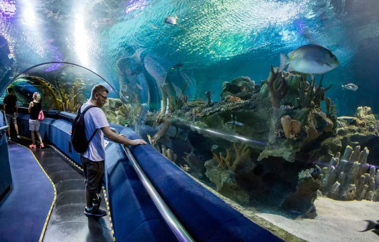 أكواريوم الغردقة