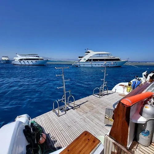 أشهر 4 أماكن سياحية بمدينة سفاجا أشهر 4 أماكن سياحية بمدينة سفاجا