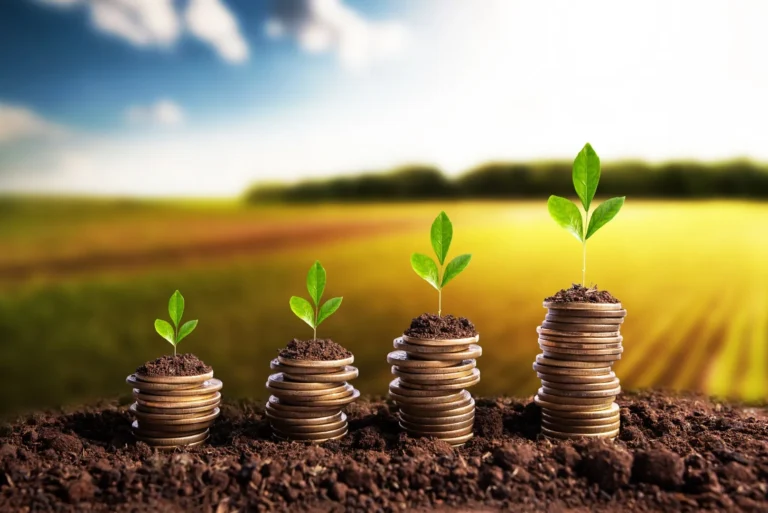 فرص الاستثمار الزراعي في مصر