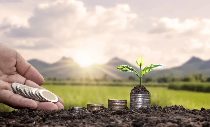 ما هي فرص الاستثمار الزراعي في مصر ؟