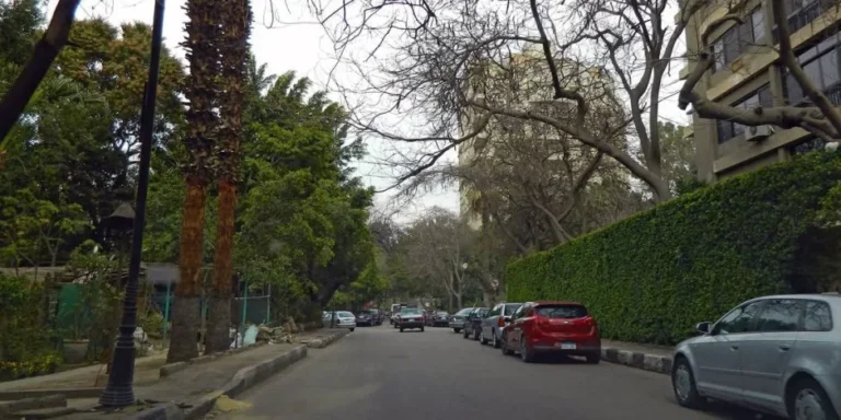 خدمات حي المعادي