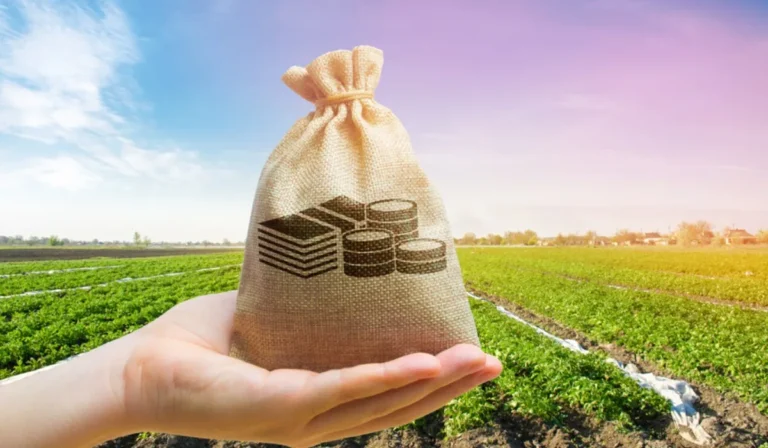 6 نصائح قبل شراء قطعة أرض للاستثمار لماذا يجب عليك الاستثمار في الأراضي؟