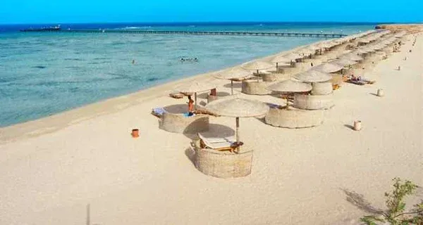 أين تقع مرسي علم على الخريطة | جنة البحر الأحمر مميزات وعيوب مرسى علم