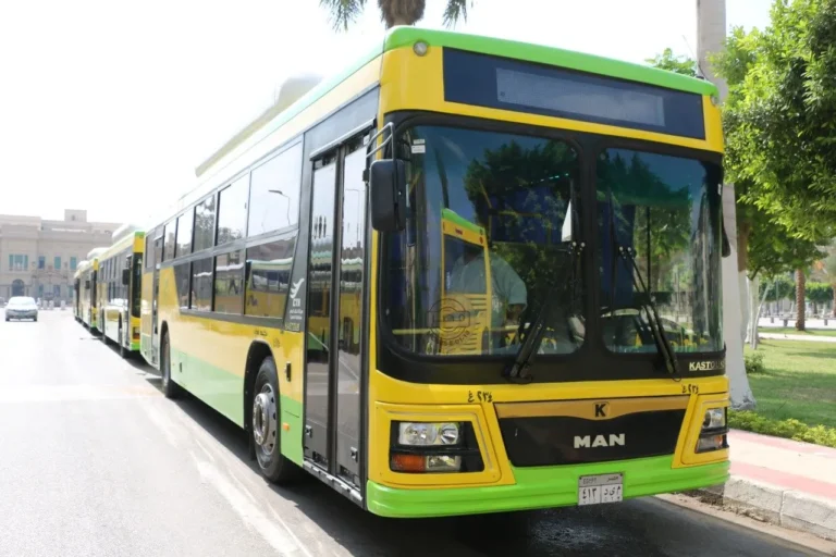 كل ما يهمك عن حي مدينة نصر كل ما يهمك عن حي مدينة نصر