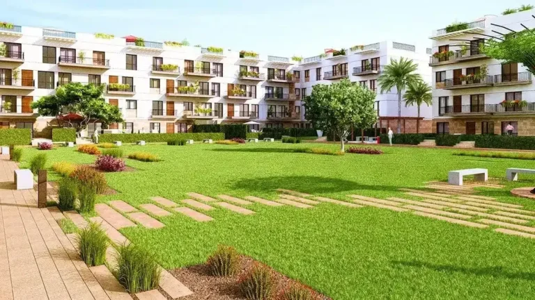 أفضل 5 أحياء في مدينة الشيخ زايد