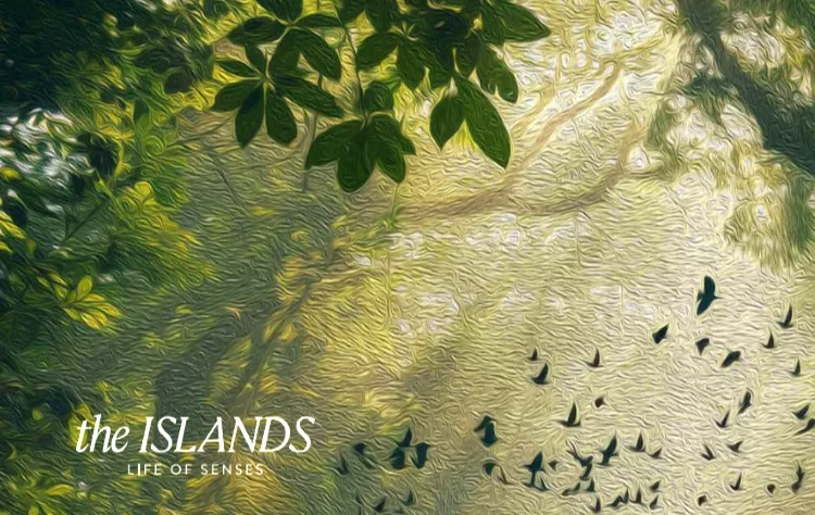 كمبوند ذا ايلاندز العاصمة الادارية الجديدة كمبوند ذا ايلاندز العاصمة الادارية الجديدة