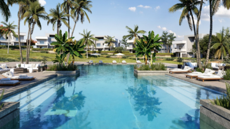 جايا رأس الحكمة