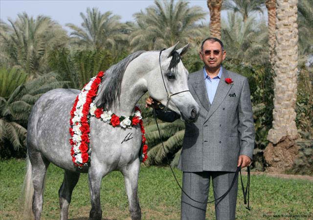 من هو صاحب شركة المراسم