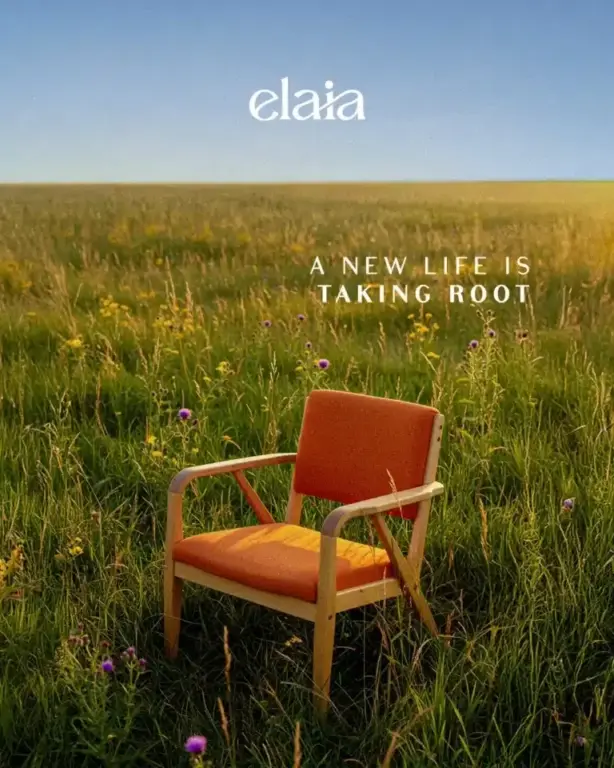 كمبوند إيلايا هليوبوليس الجديدة كمبوند إيلايا هليوبوليس الجديدة