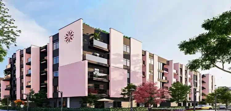 كمبوند ليفينت الشيخ زايد