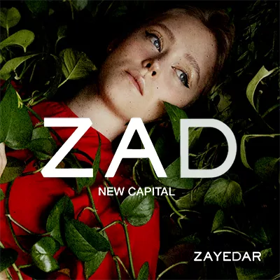 شركة زايدار للتطوير العقاري Zayedar Developments