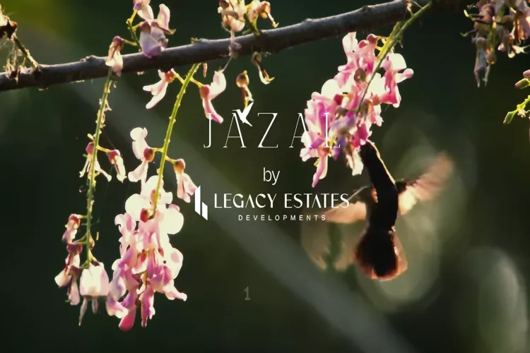 كمبوند جازال الشيخ زايد كمبوند جازال الشيخ زايد