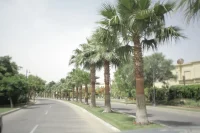 دوبلكس — Gardenia Park 1 in 6th of October City by IGI Real Estate في 6th of Oct