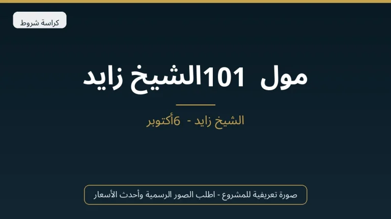مول 101 الشيخ زايد