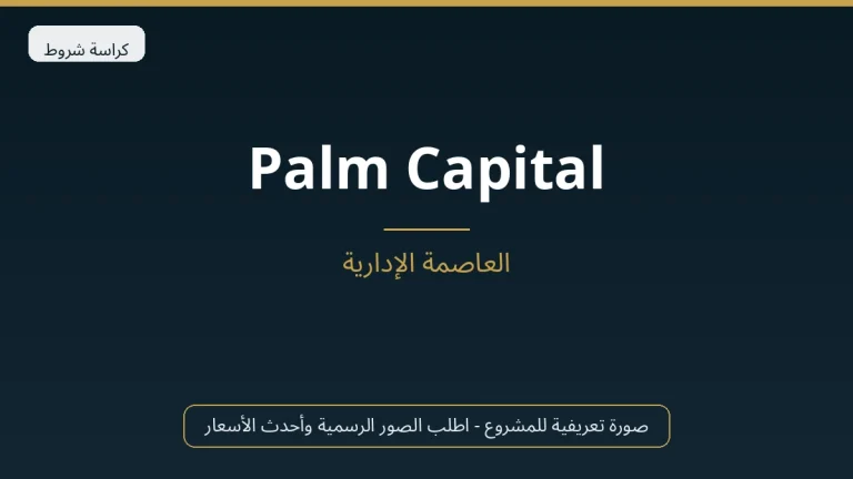 Palm Capital في New Capital