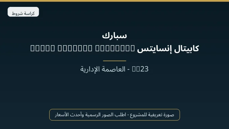 سبارك كابيتال إنسايتس Spark Capital Insights